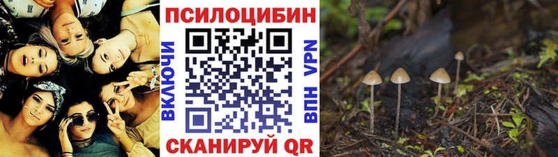 Купить закладки  Сычёвка  Псилоцибиновые грибы мухоморы 